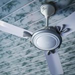 The Ceiling Fan